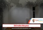 Ekinoba Boyacı