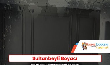 Sultanbeyli Boyacı