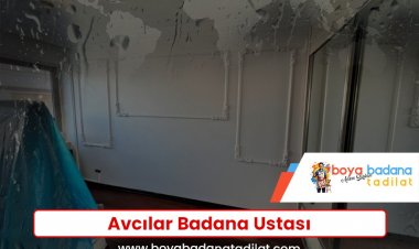 Avcılar Badana Ustası
