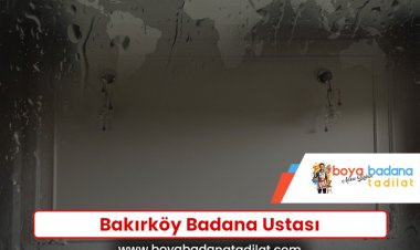 Bakırköy Badana Ustası