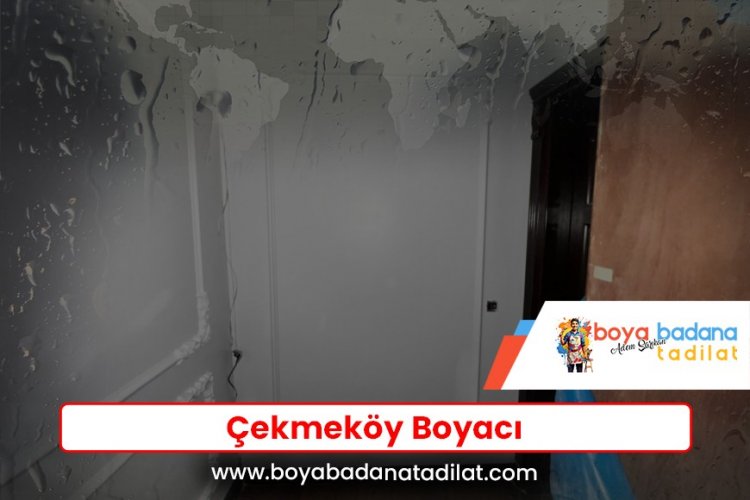 Çekmeköy Boyacı
