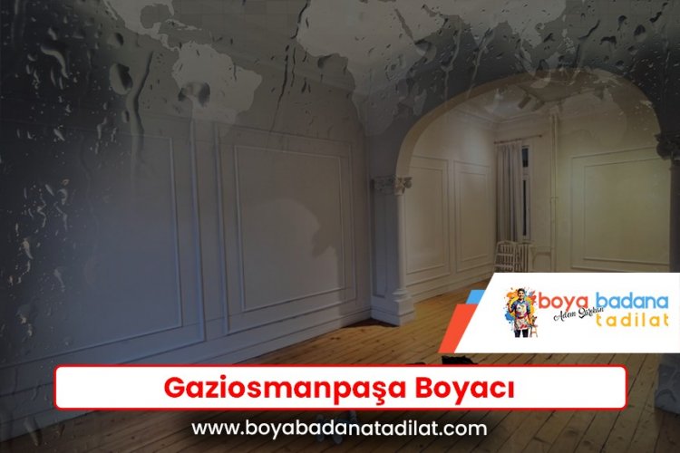 Gaziosmanpaşa Boyacı